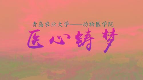 医心铸梦--2018年beats365唯一官网入口官网教学科研宣传片